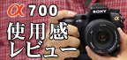 ��700�@�g�p�����r���[