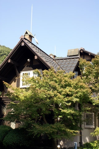 α 単焦点レンズ 35mm F1.4 G　SAL35F14G 実写