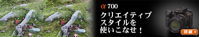 �N���G�C�e�B�u�X�^�C���@�\���g�����Ȃ��I