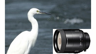 500mm F8 Reflex