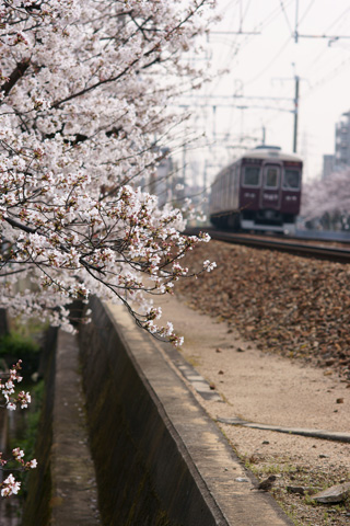 104.jpg