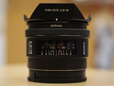 SAL16F28_003-07b85.jpg