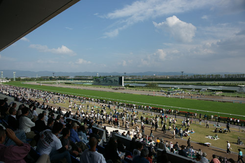 a900_sal2470z_002.jpg