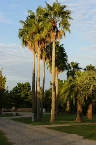 a900_sal85f14z_006.jpg