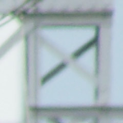 sal75300_011.jpg