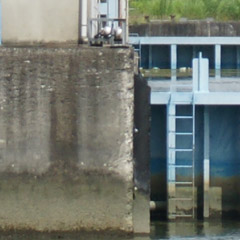 sal70300g_001c.jpg