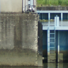 sal75300_001c.jpg