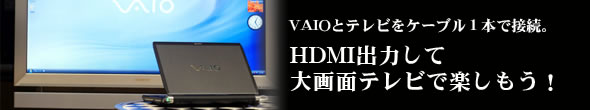 HDMI�o�͂��đ��ʃe���r�Ŋy�������I
