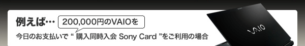 �Ⴆ�΁c 200,000�~��VAIO�������̂��x�����Łg �w���������� Sony Card �h�������p�̏ꍇ