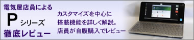 typeP�@�O�ꃌ�r���[