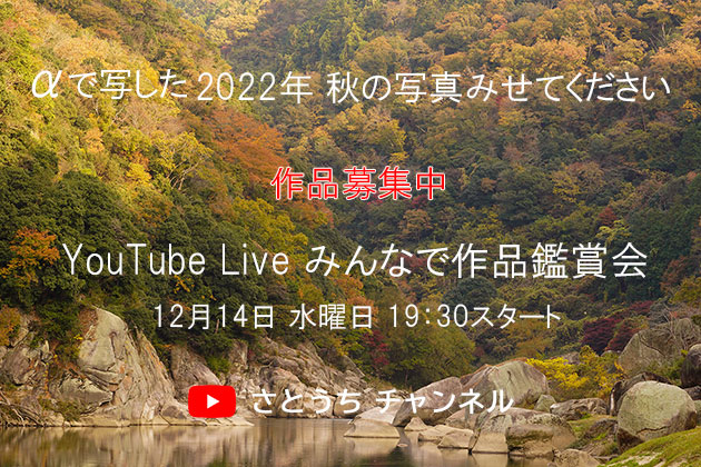 αで写した 2022年秋の写真みせてください みんなで作品鑑賞会 Live配信!