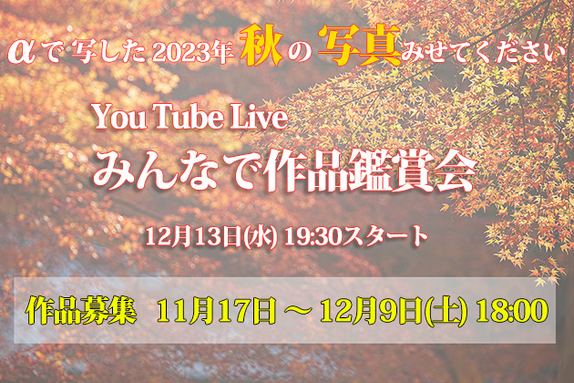 αで写した2023年秋の写真みせてください みんなで作品鑑賞会 作品募集！