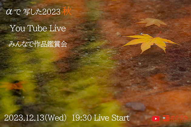 明日12月13日配信! αで写した2023秋 You Tube Live みんなで作品鑑賞会