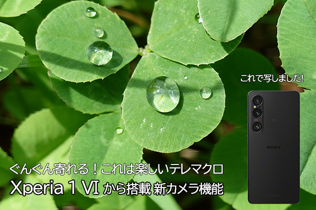 Xperia 1 VI カメラ機能を使う ぐんぐん寄れる！これは楽しい テレマクロ