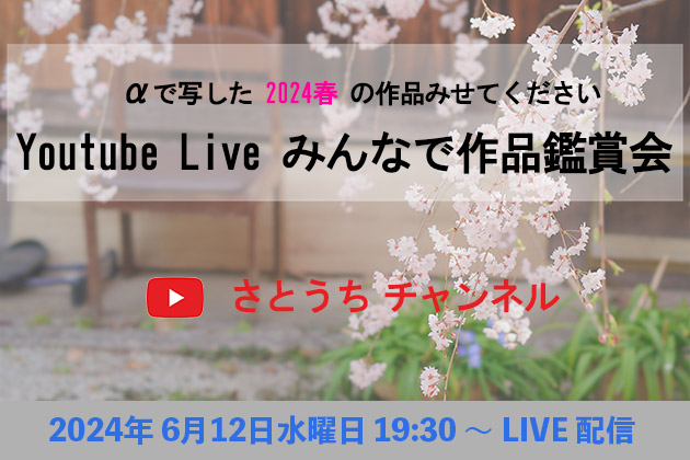 6月12日に生配信! αで写した 2024春 YouTube Live みんなで作品鑑賞会