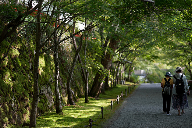 αでお写んぽ α7C II ＋ SEL85F14GM2 初秋の京都大原三千院