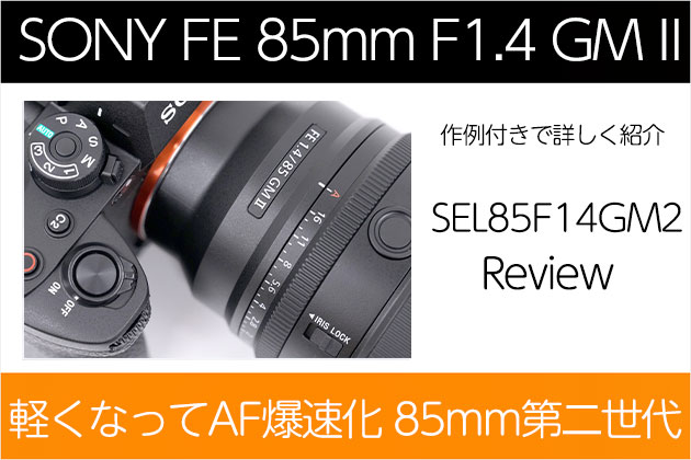 レビュー 軽くなりAF爆速 第2世代 SEL85F14GM2 作例付き紹介