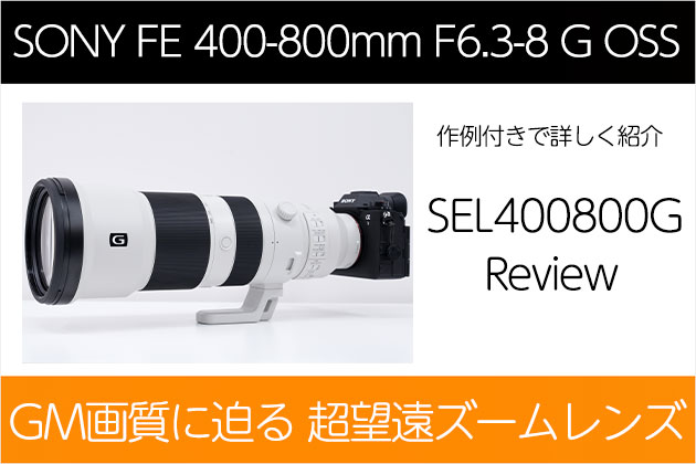 レビュー GM画質に迫る超望遠ズーム SEL400800G 作例付き紹介