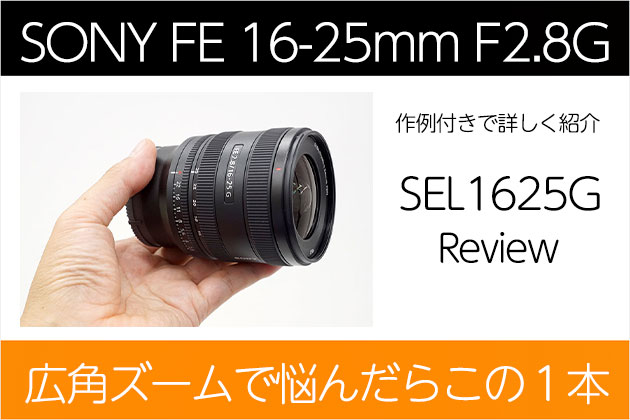 レビュー 広角ズームで悩んだらこの１本 SEL1625G 作例付き紹介