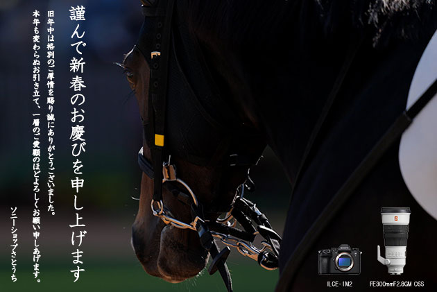 新年のごあいさつ