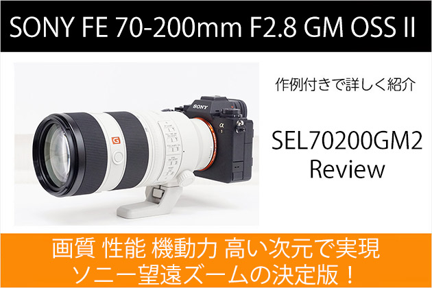 SEL70200GM2 レビューと作例 | 画質 性能 機動力 高い次元で実現
