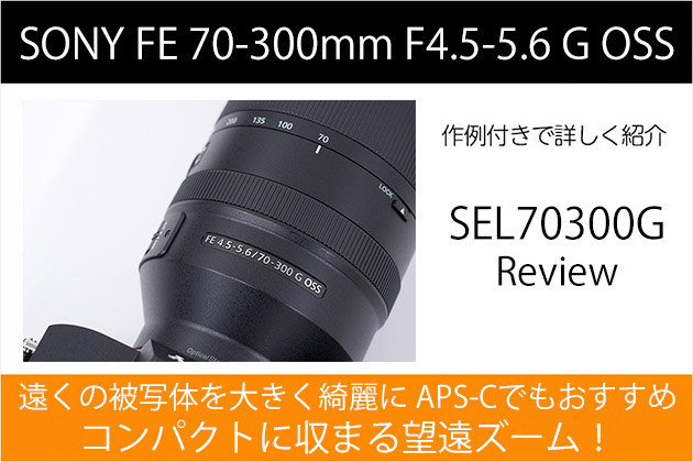 SEL70300G レビューと作例 ｜ 高解像でぼけ味良しの望遠ズーム