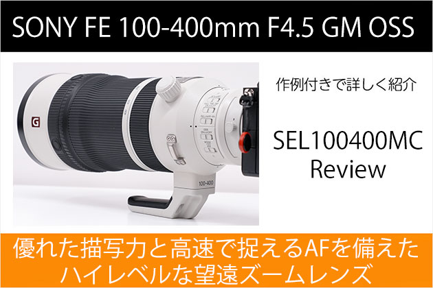 SEL100400MC レビュー 作例｜画質とAF ハイレベルな望遠ズーム