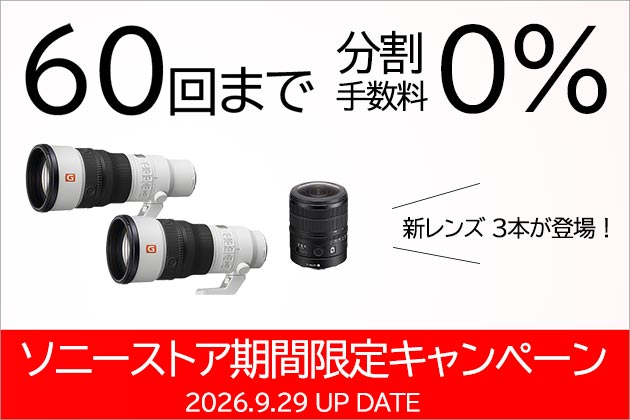 α 60回払い 分割手数料0(ゼロ) ! ソニーストア キャンペーンまとめ