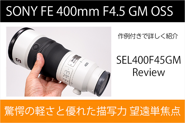 ソニー FE 400mm F4.5 GM OSS レビュー 作例付き 実機で紹介!