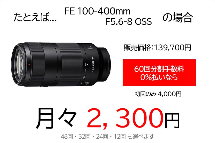SEL100400 キャンペーン情報