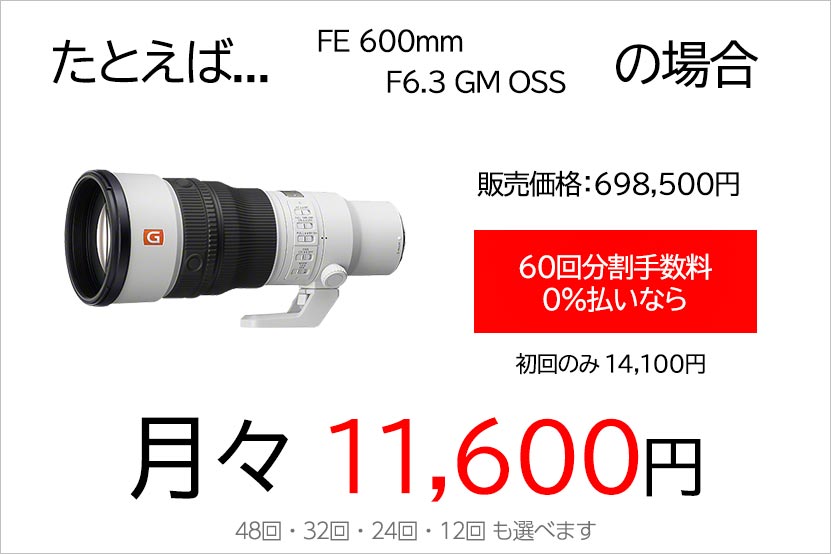 FE 600mm F6.3 GM OSS 分割払い