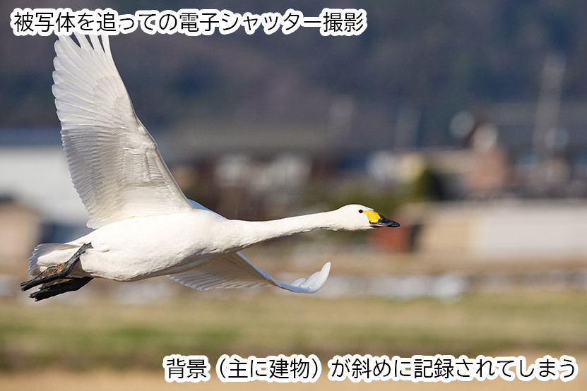 ローリングシャッター現象