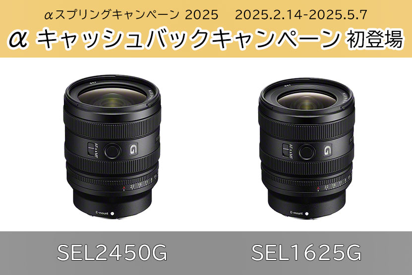 αキャッシュバックに初登場! SEL2450G と SEL1625G 買うなら今なのか?