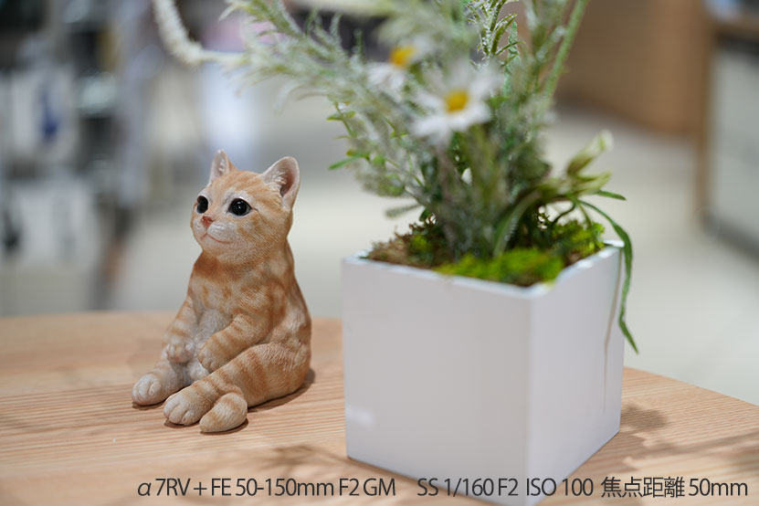 50mmその１