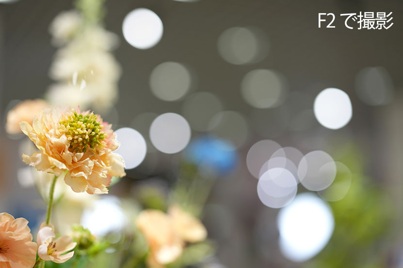 口径食 F2