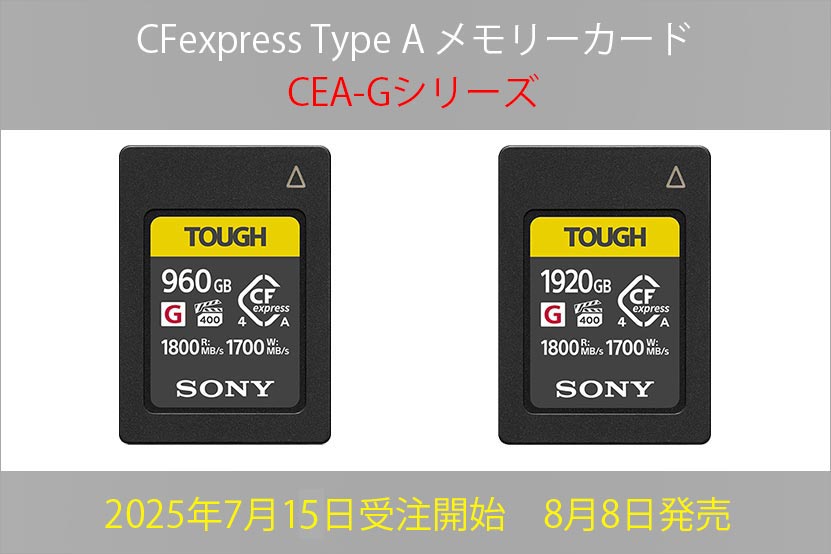 発売日は？