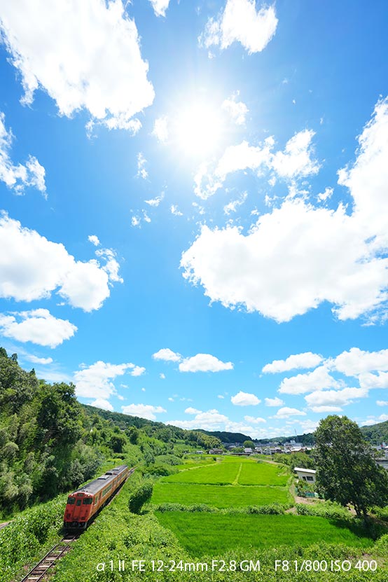 α1 II と巡る 2025 夏の鉄道風景　津山線 その１