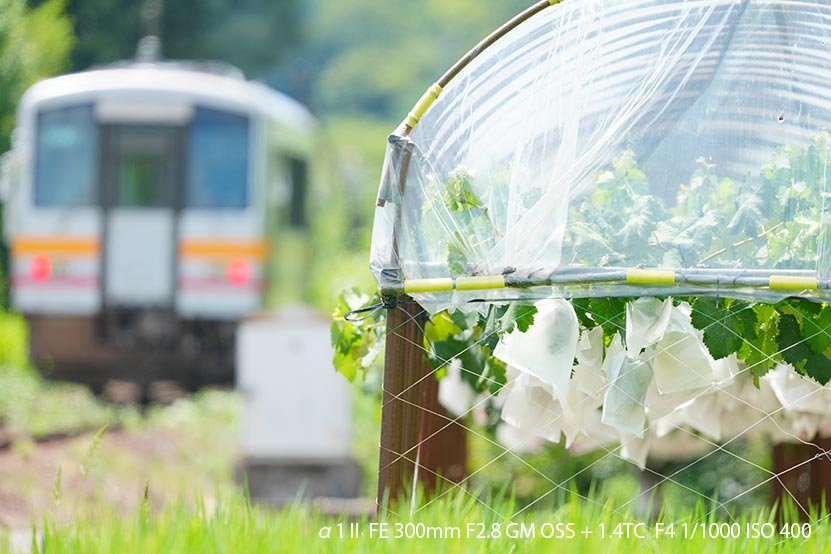 α1 II と巡る 2025 夏の鉄道風景　姫新線 その3