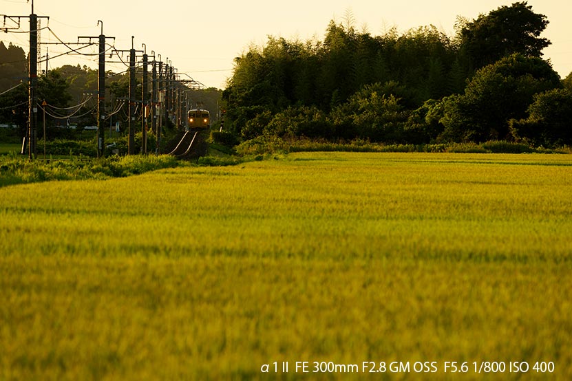 α1 II と巡る 2025 夏の鉄道風景　伯備線　その2