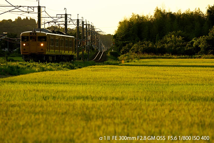 α1 II と巡る 2025 夏の鉄道風景　その3