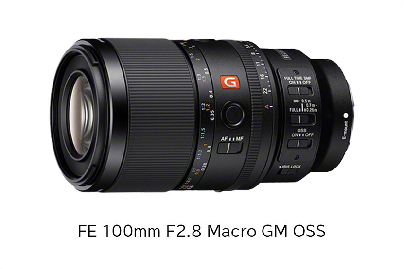 FE 100mm F2.8 Macro GM OSS 発表 1.4倍撮影にテレコン使えるGMマクロ