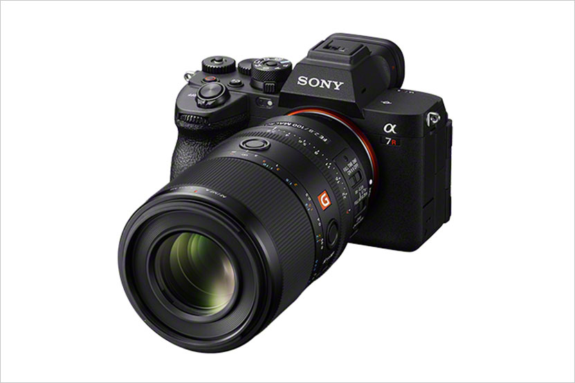 α7RV と FE 100mm F2.8 Macro GM OSSの組み合わせ