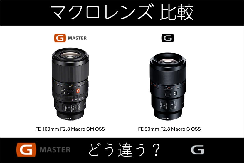 GM100マクロ と G90マクロ　ソニー マクロレンズ２本を比較