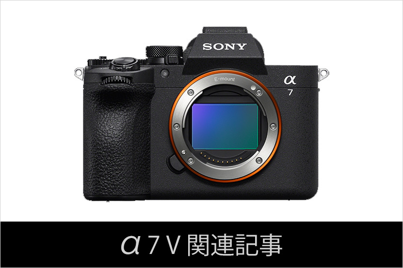α7 V 関連記事 バナー