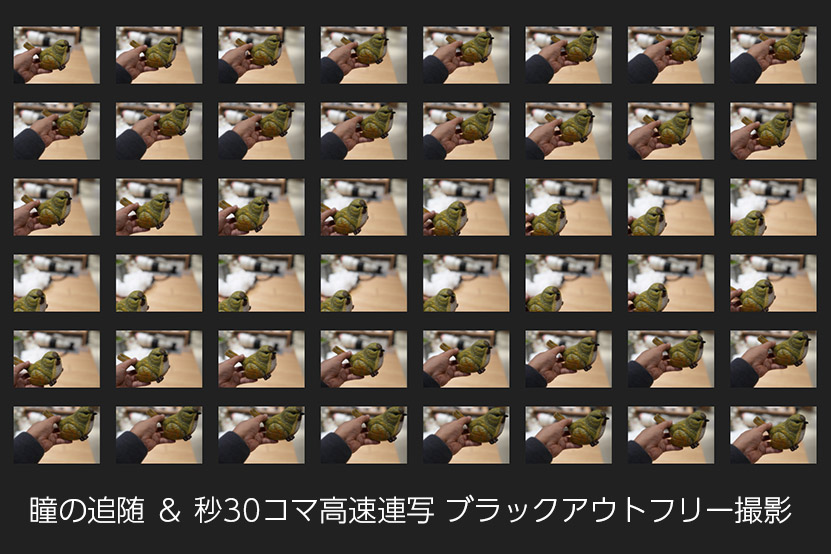 α7 V 秒30コマ撮影の画像