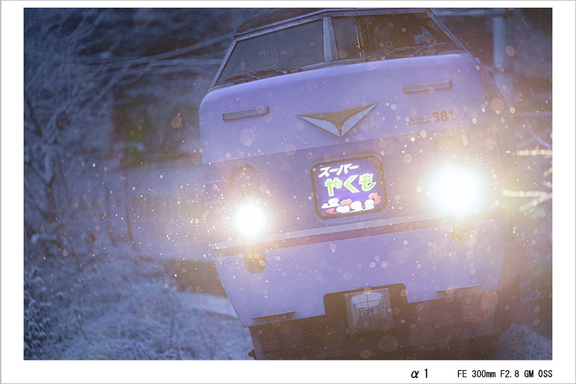 FE 300mm F2.8 GM OSS 作例