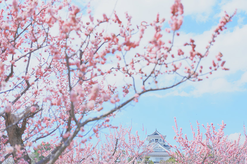 長浜城趾あたりをお写んぽ4