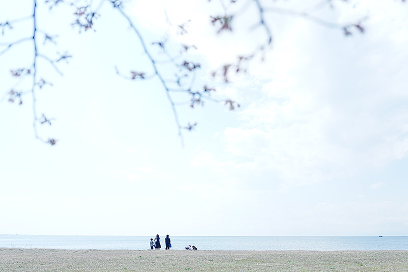 長浜城趾あたりをお写んぽ5