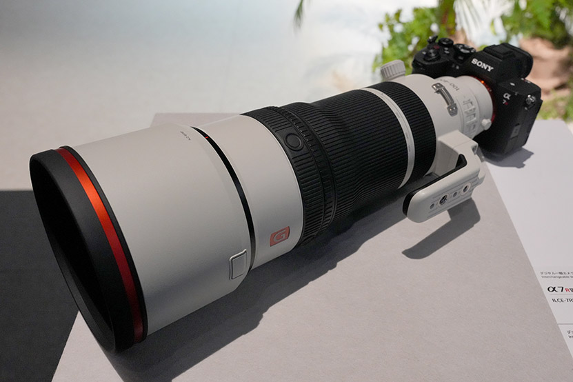FE 100-400mm F4.5 GM OSS と α7RVI