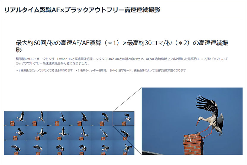 RX10V 連写画像